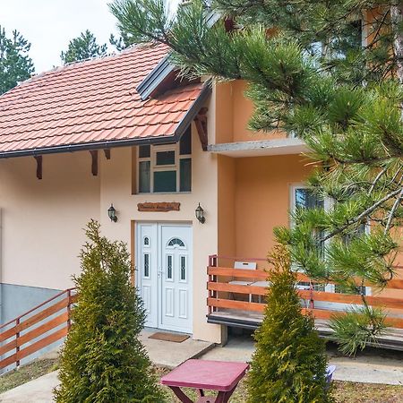 Mountain House Tara Apartmani Nikolic Kaludjerske Bare Kültér fotó