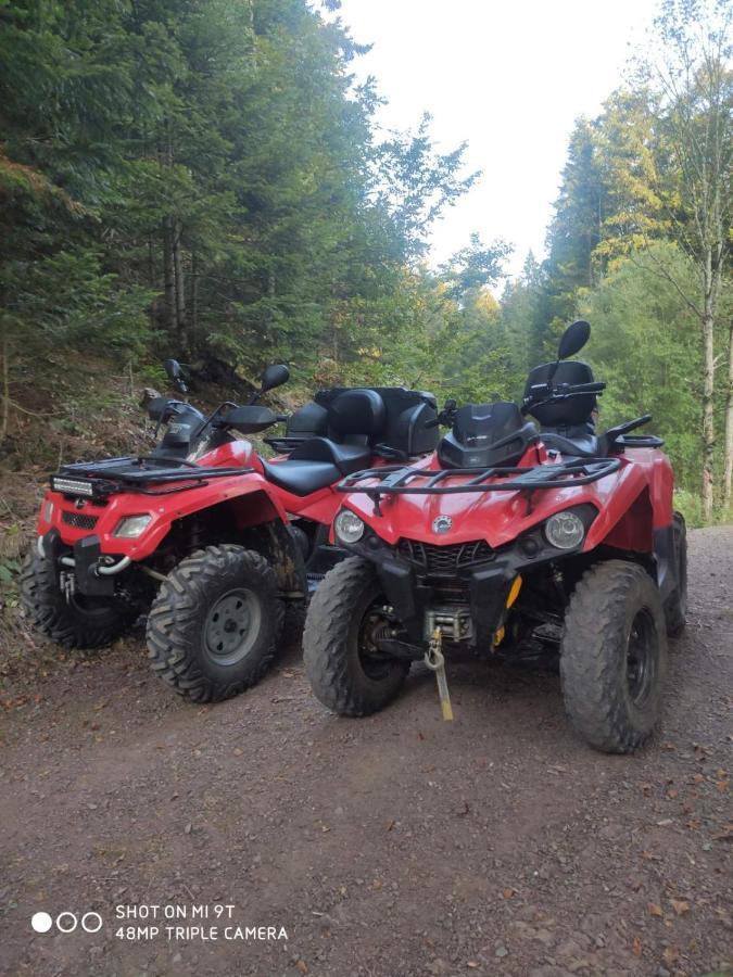 Mountain House Tara Apartmani Nikolic Kaludjerske Bare Kültér fotó