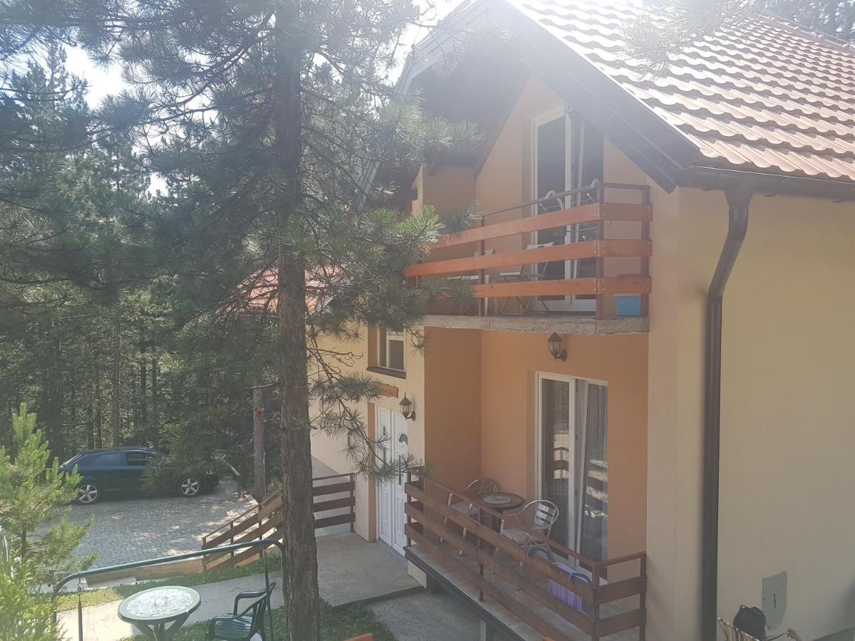 Mountain House Tara Apartmani Nikolic Kaludjerske Bare Kültér fotó