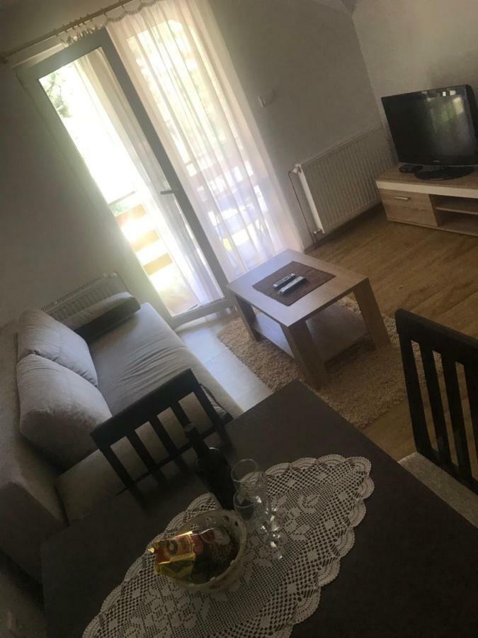 Mountain House Tara Apartmani Nikolic Kaludjerske Bare Kültér fotó