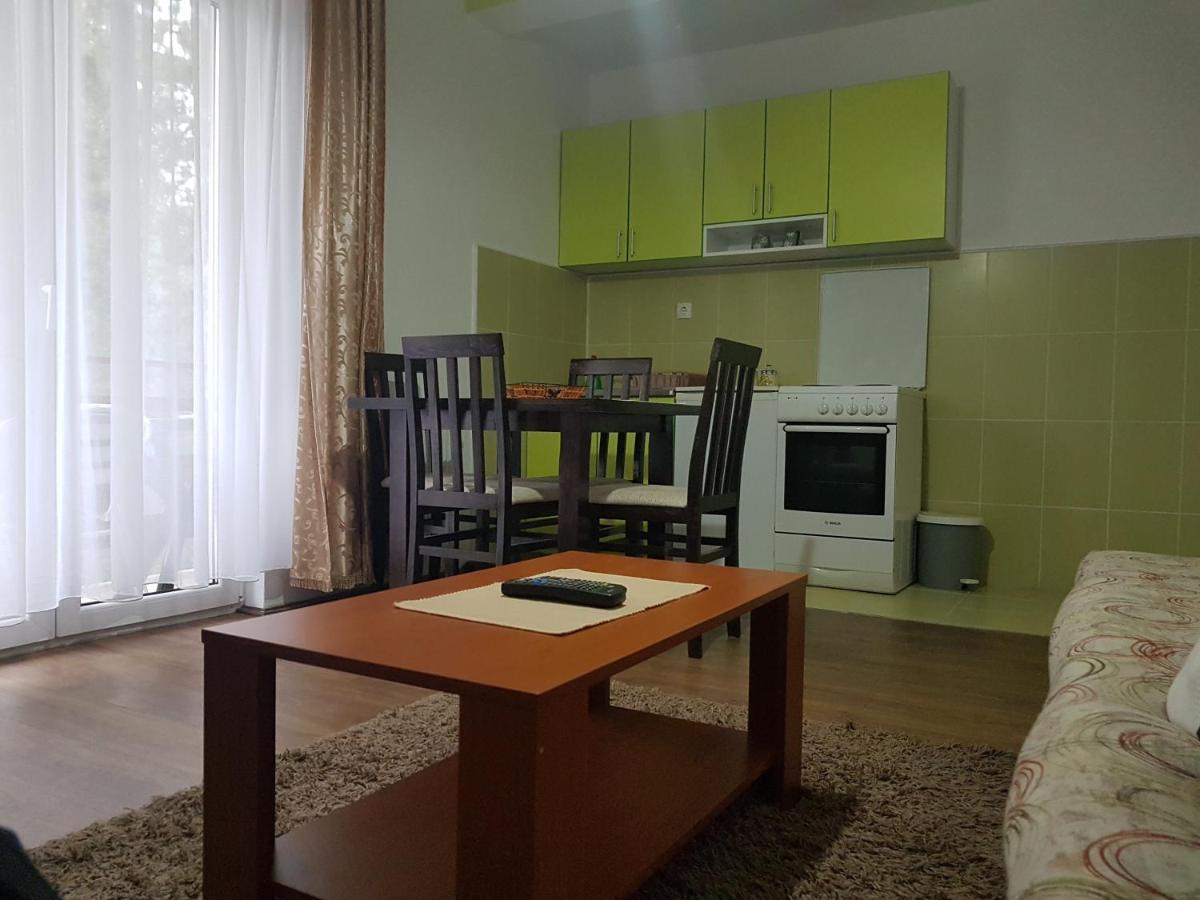 Mountain House Tara Apartmani Nikolic Kaludjerske Bare Kültér fotó